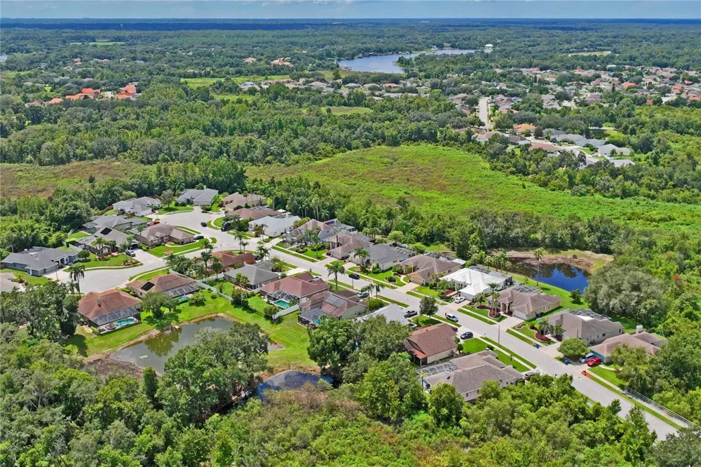 23218 CYPRESS TRAIL DRIVE Lutz, FL 33549