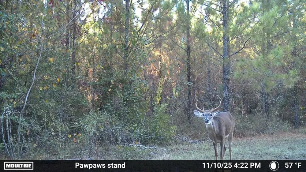00 OLD FEDERAL ROAD Quincy, FL 32351