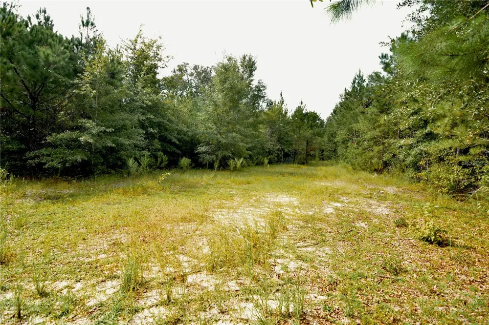 00 OLD FEDERAL ROAD Quincy, FL 32351