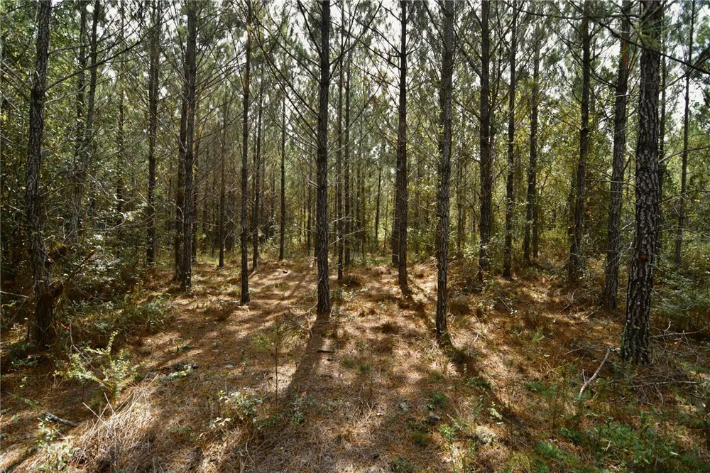 00 OLD FEDERAL ROAD Quincy, FL 32351
