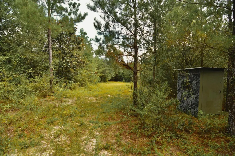 00 OLD FEDERAL ROAD Quincy, FL 32351
