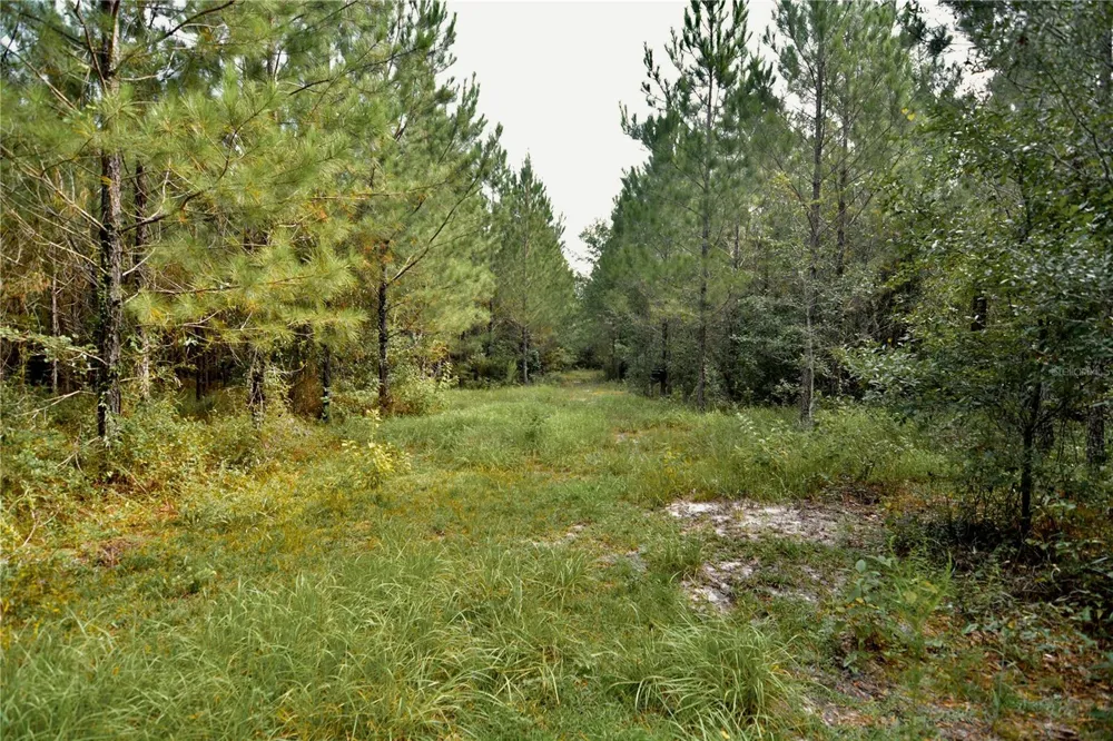 00 OLD FEDERAL ROAD Quincy, FL 32351