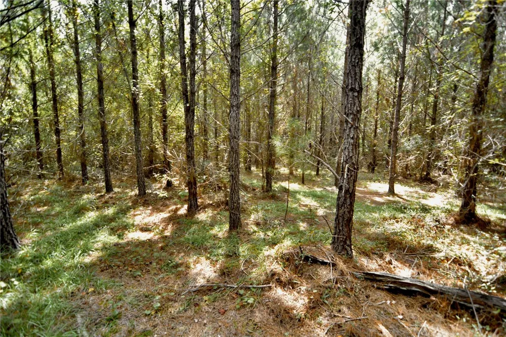 00 OLD FEDERAL ROAD Quincy, FL 32351