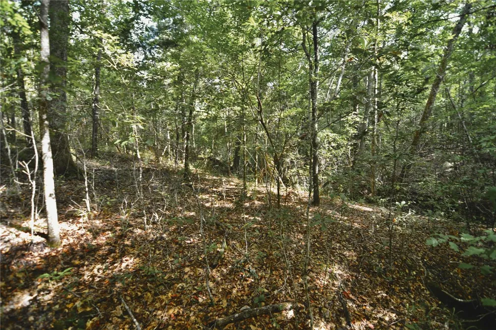 00 OLD FEDERAL ROAD Quincy, FL 32351