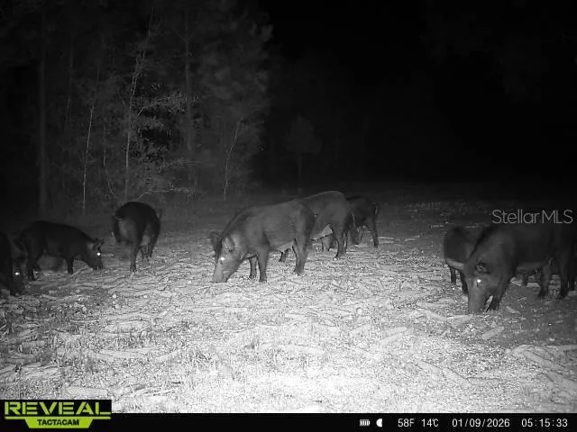 00 OLD FEDERAL ROAD Quincy, FL 32351