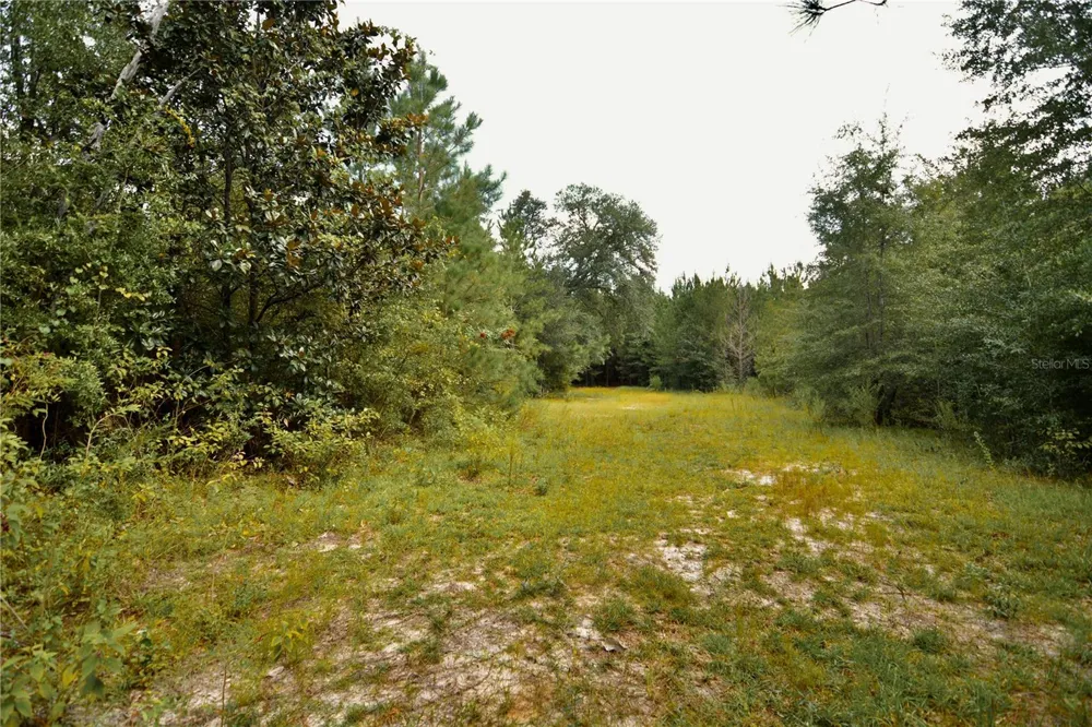 00 OLD FEDERAL ROAD Quincy, FL 32351