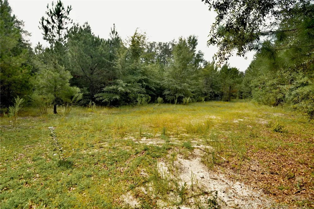 00 OLD FEDERAL ROAD Quincy, FL 32351
