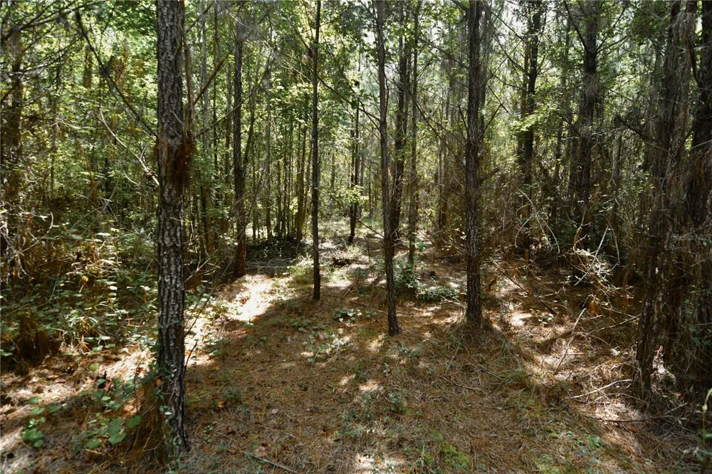 00 OLD FEDERAL ROAD Quincy, FL 32351