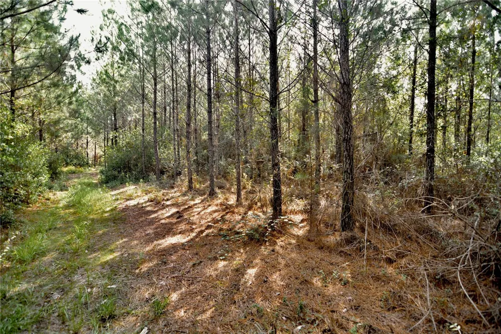 00 OLD FEDERAL ROAD Quincy, FL 32351