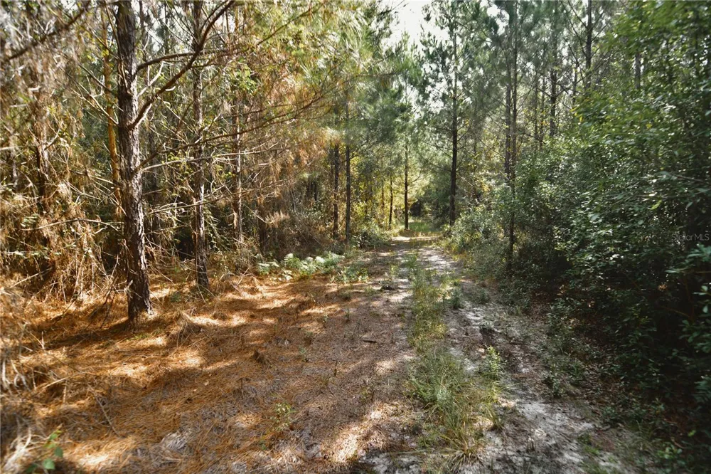 00 OLD FEDERAL ROAD Quincy, FL 32351