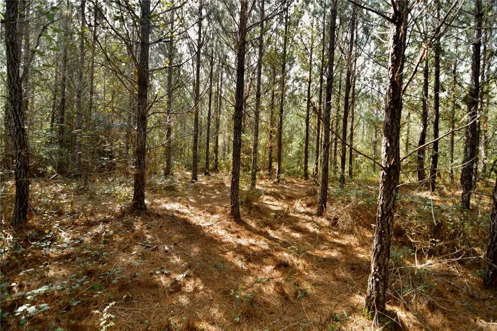 00 OLD FEDERAL ROAD Quincy, FL 32351
