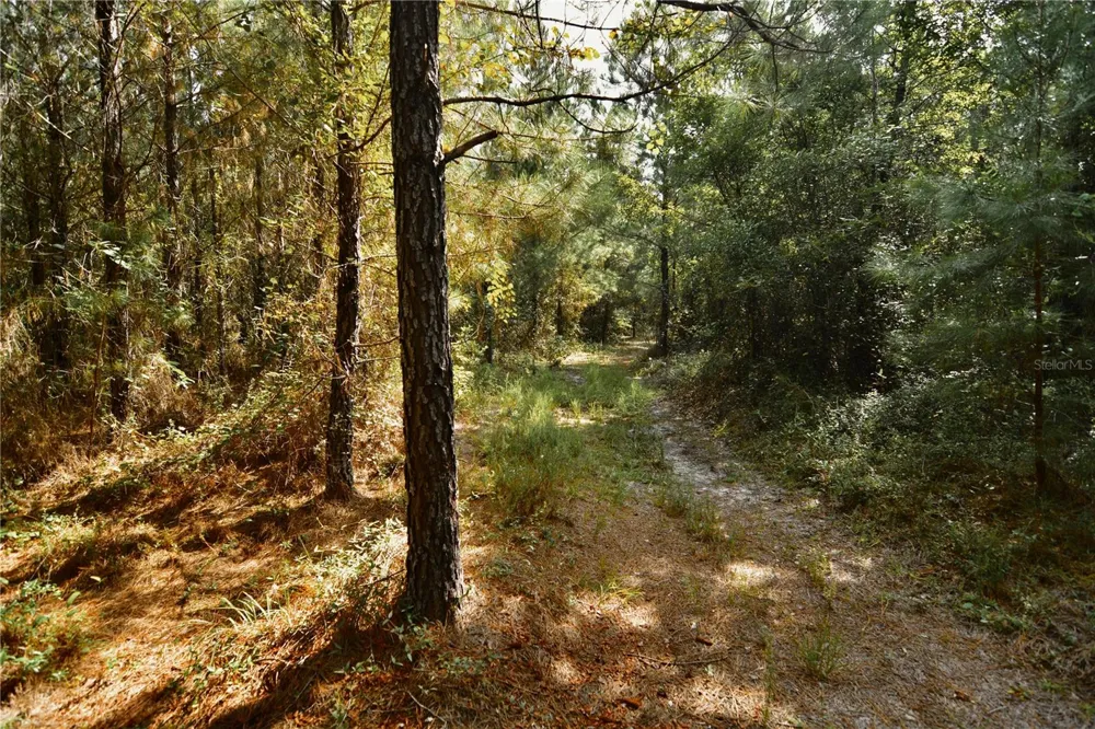 00 OLD FEDERAL ROAD Quincy, FL 32351