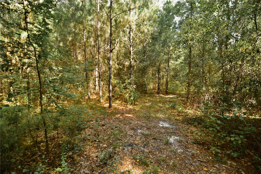 00 OLD FEDERAL ROAD Quincy, FL 32351