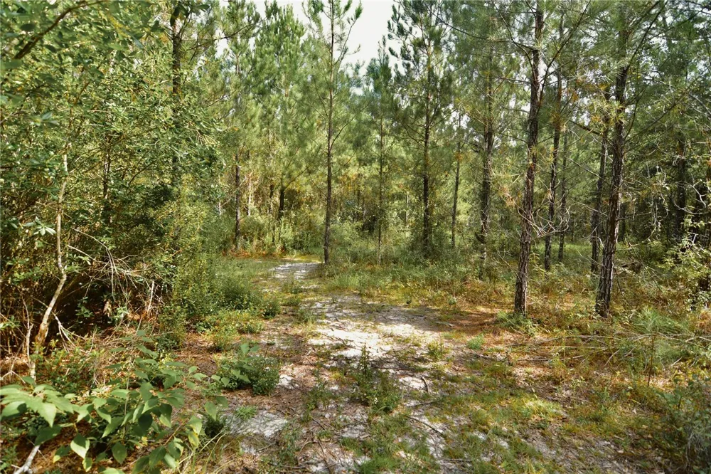 00 OLD FEDERAL ROAD Quincy, FL 32351