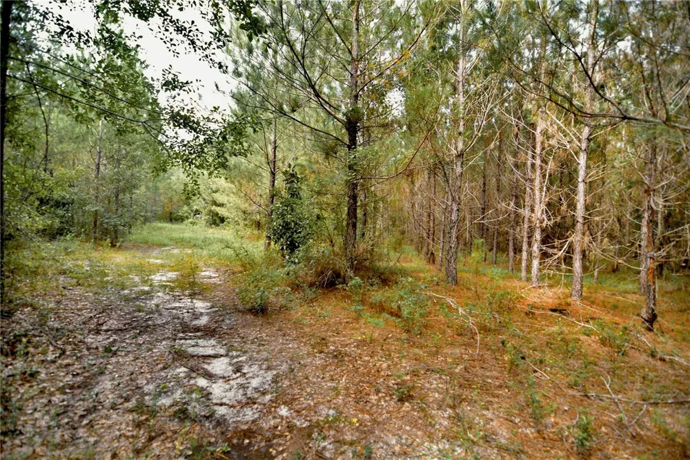 00 OLD FEDERAL ROAD Quincy, FL 32351