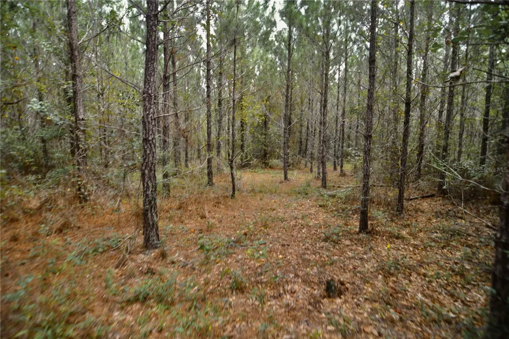 00 OLD FEDERAL ROAD Quincy, FL 32351