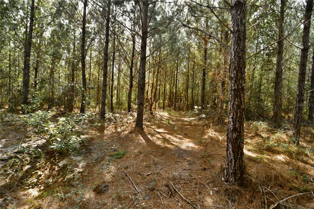 00 OLD FEDERAL ROAD Quincy, FL 32351
