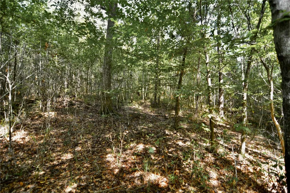 00 OLD FEDERAL ROAD Quincy, FL 32351