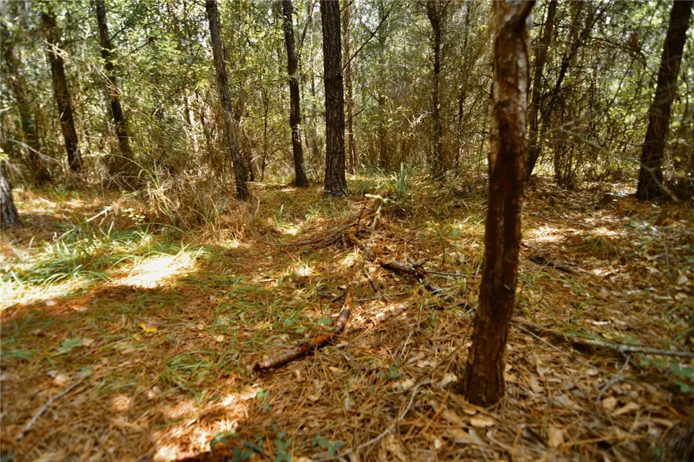 00 OLD FEDERAL ROAD Quincy, FL 32351