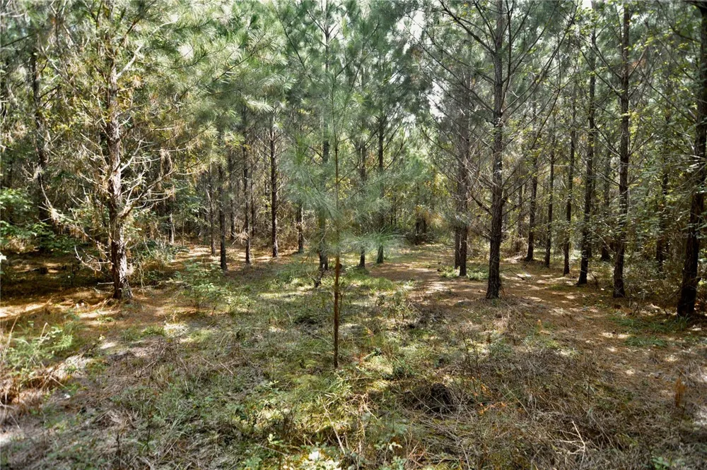 00 OLD FEDERAL ROAD Quincy, FL 32351