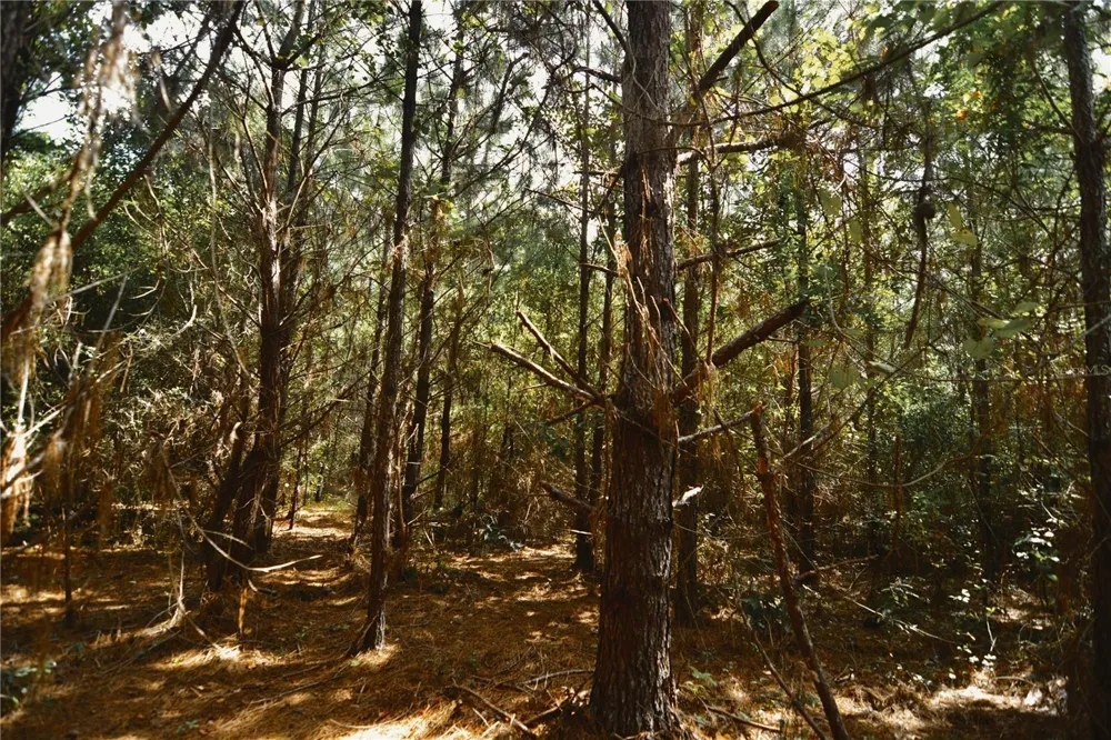 00 OLD FEDERAL ROAD Quincy, FL 32351