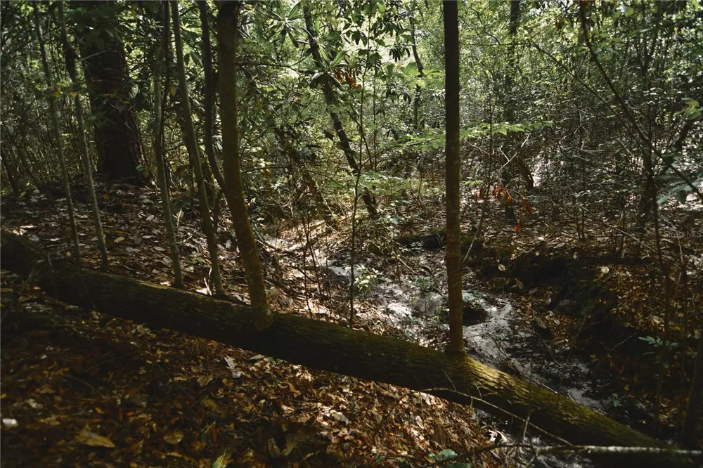 00 OLD FEDERAL ROAD Quincy, FL 32351