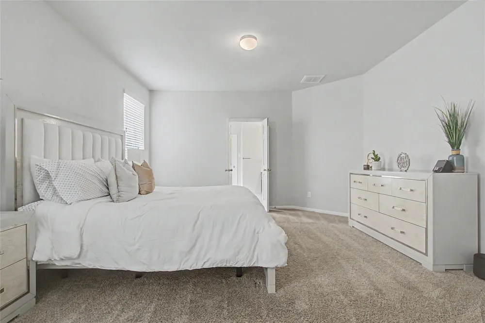108 Highland Prairie Way Waller, TX 77484