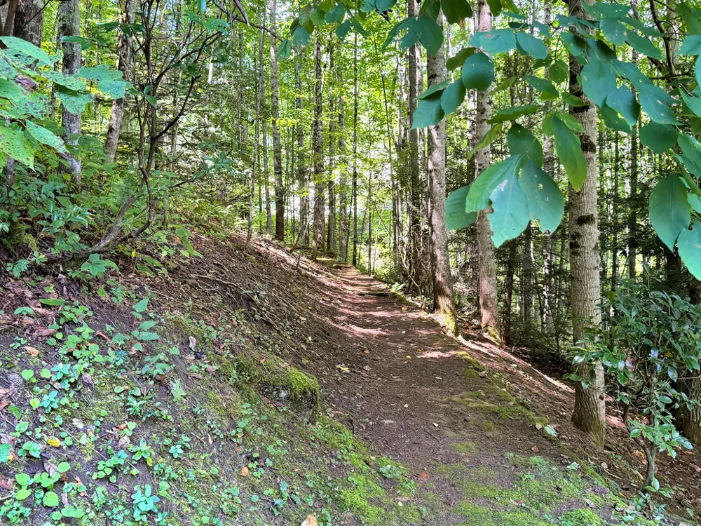 Grand Vista Drive Sylva, NC 28779