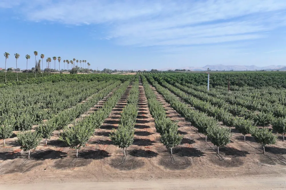 0 Road 248 Terra Bella, CA 93270