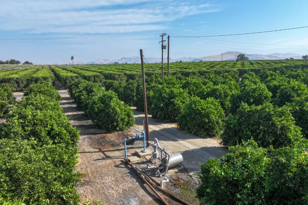 0 Road 248 Terra Bella, CA 93270