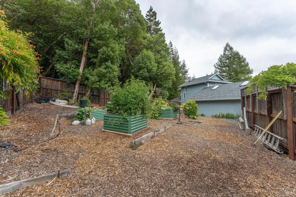 2398 Poppy Terrace Willits, CA 95490