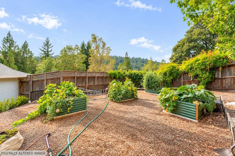 2398 Poppy Terrace Willits, CA 95490