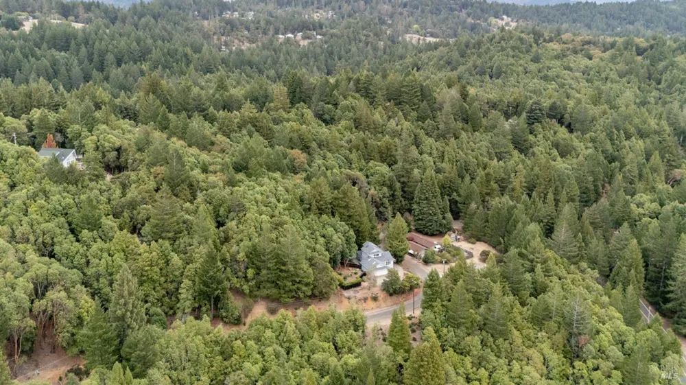 2398 Poppy Terrace Willits, CA 95490
