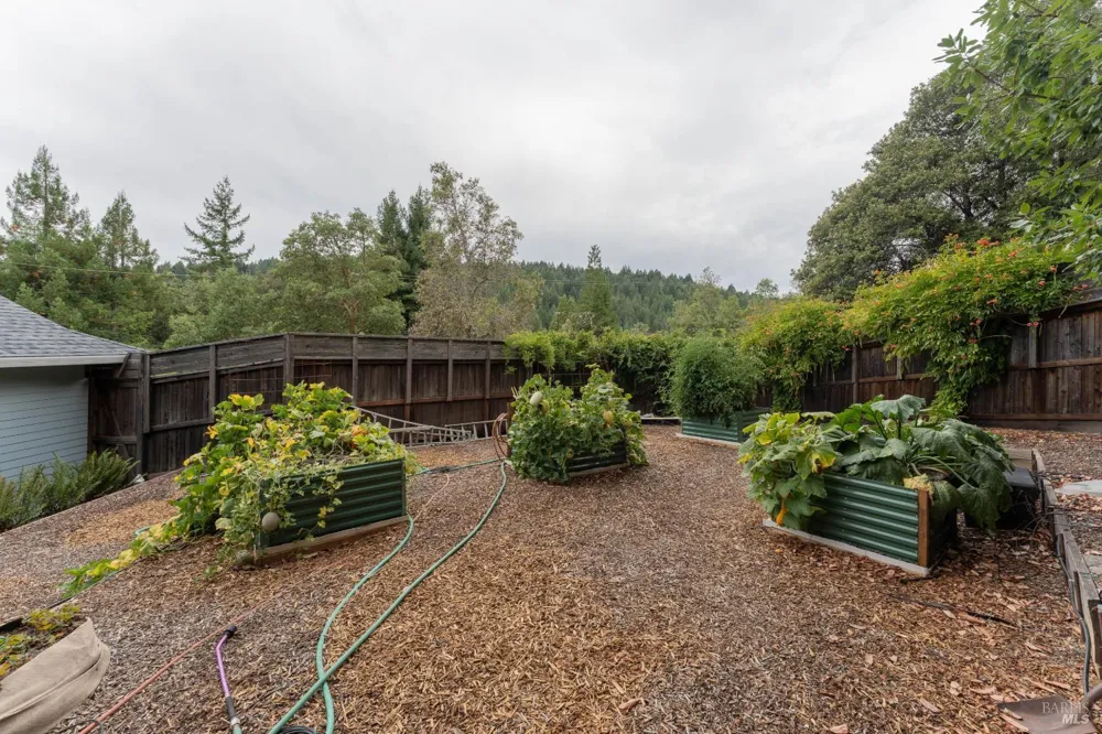 2398 Poppy Terrace Willits, CA 95490