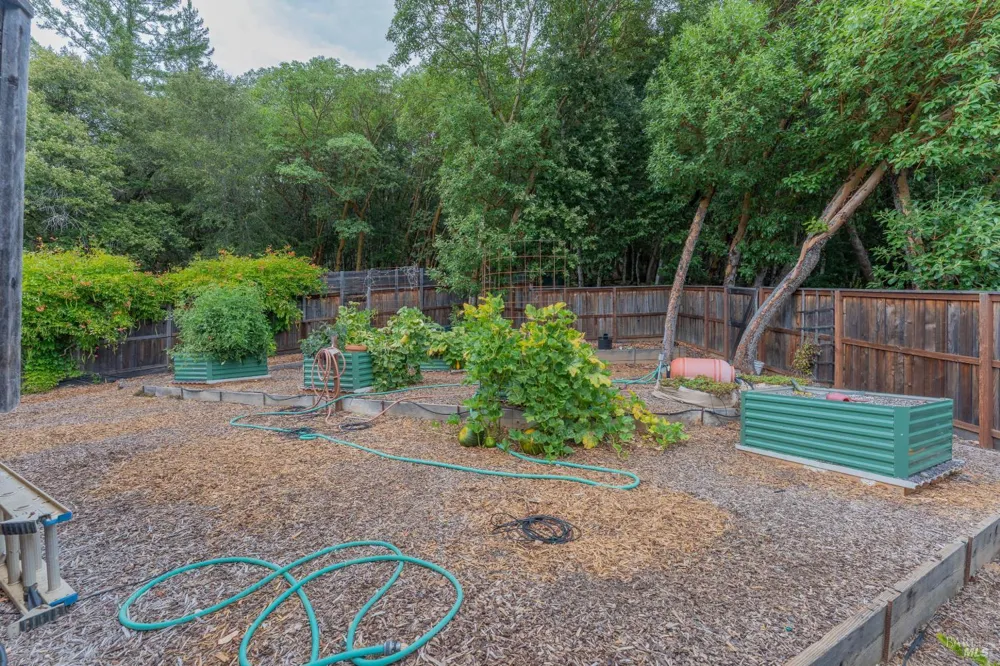 2398 Poppy Terrace Willits, CA 95490