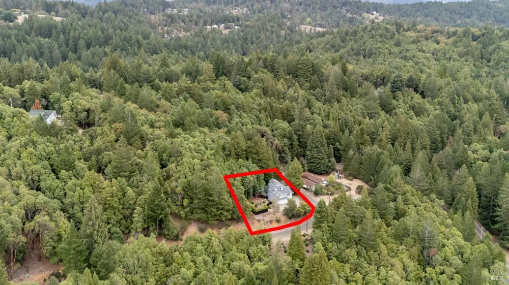 2398 Poppy Terrace Willits, CA 95490