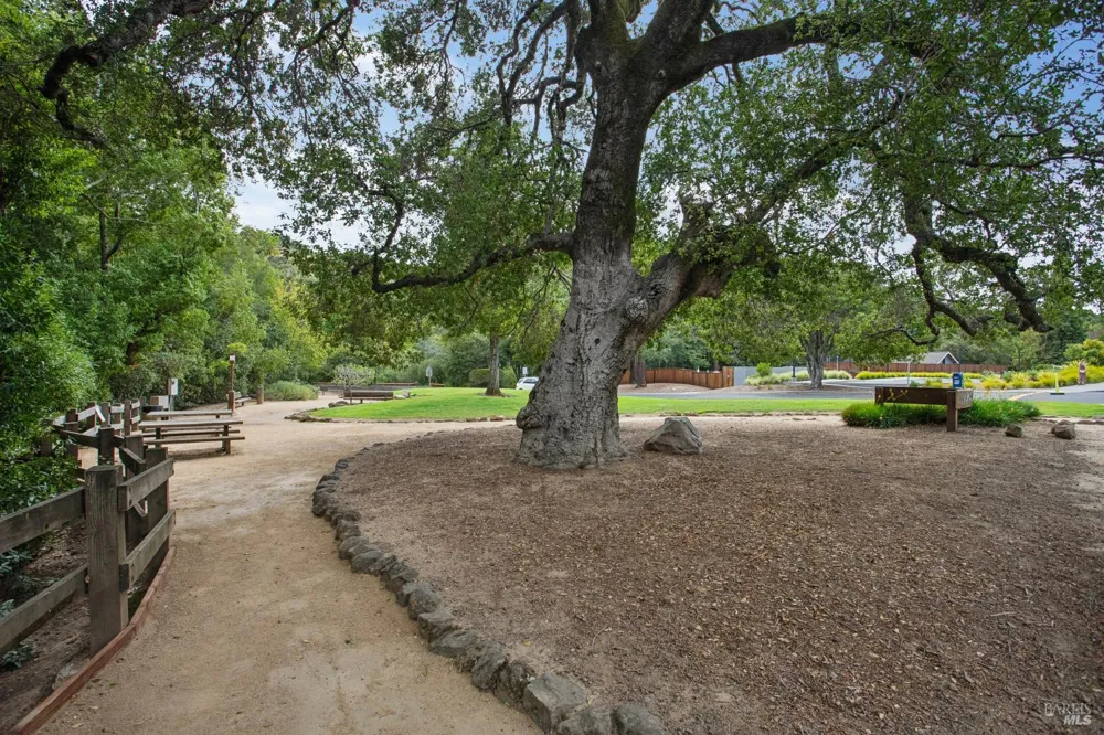 41 Mount Foraker Drive San Rafael, CA 94903