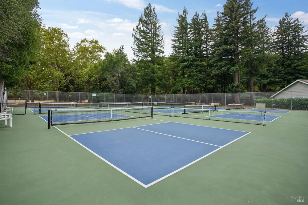 41 Mount Foraker Drive San Rafael, CA 94903
