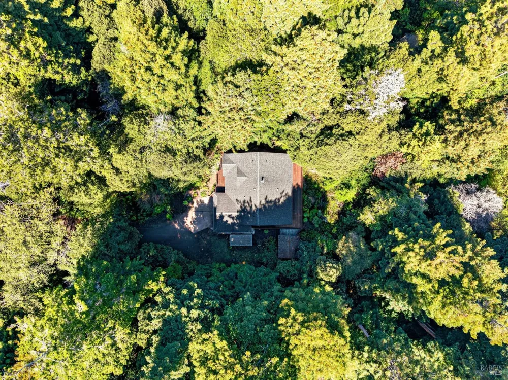 32268 Forest Lane Fort Bragg, CA 95437