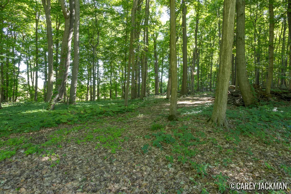 2111 Woodley Creek Court NW Comstock Park, MI 49321