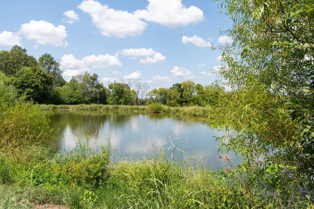 780 Mt Olivet Road Columbia, TN 38401