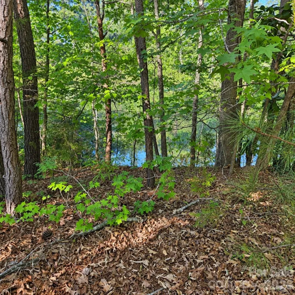 3628 Rainey Avenue Sharon, SC 29742