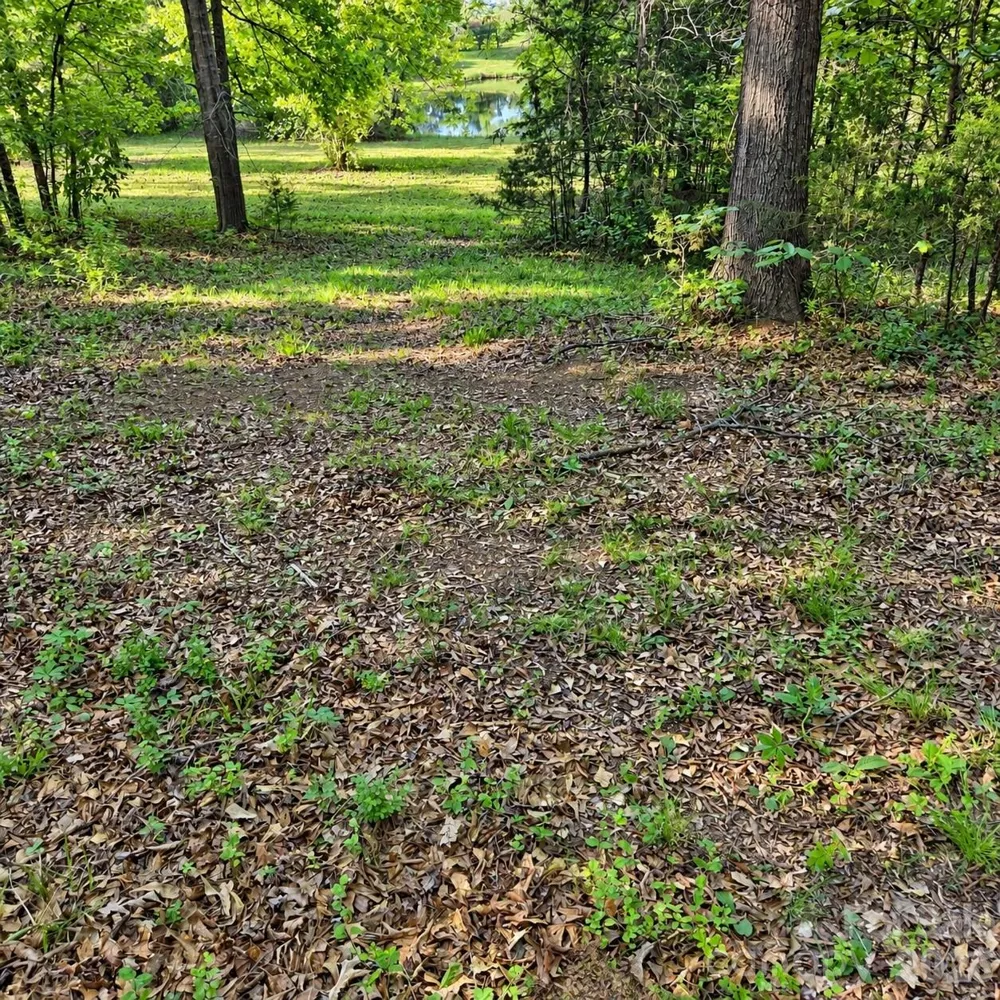 3628 Rainey Avenue Sharon, SC 29742