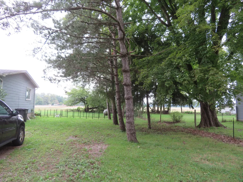 16788 Ida West Road Summerfield Township, MI 49270