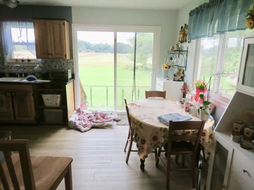 16788 Ida West Road Summerfield Township, MI 49270