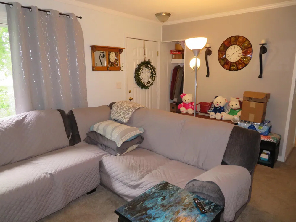 16788 Ida West Road Summerfield Township, MI 49270
