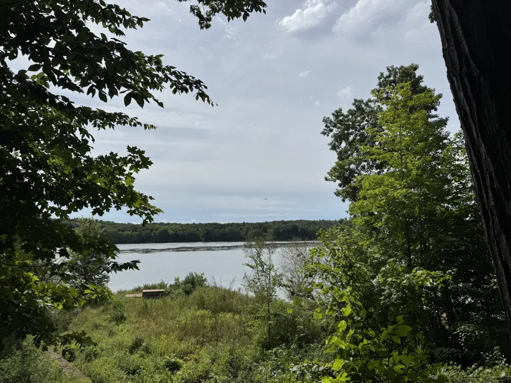 3656 118th Avenue Valley Township, MI 49010