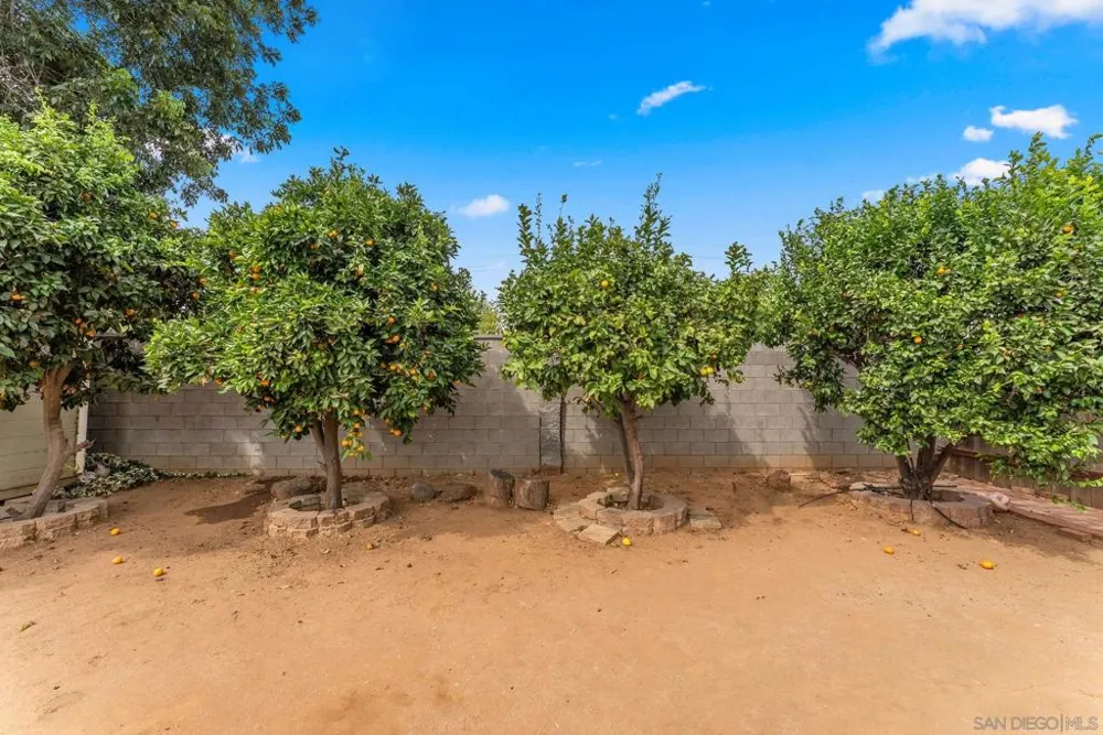 665 Foy Ln Escondido, CA 92025