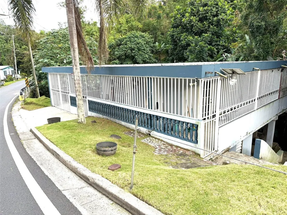 PR 156 MULAS WARD Aguas Buenas, PR 00703