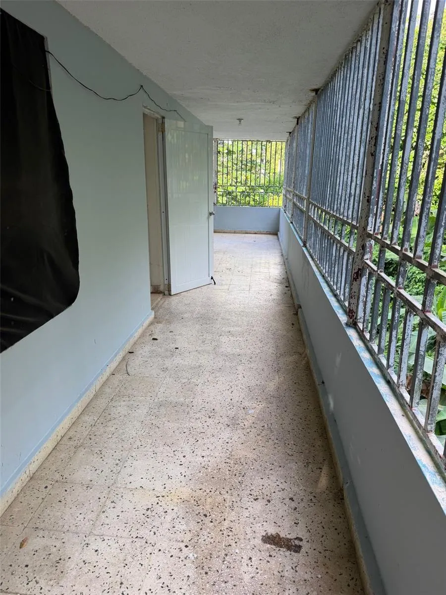 PR 156 MULAS WARD Aguas Buenas, PR 00703